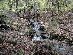 Mt Pemigewassett Hiking White Mountains New Hampshire